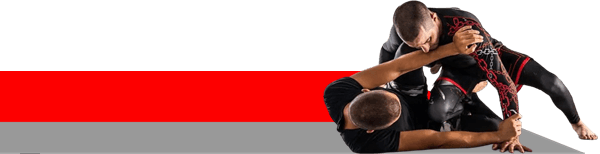 NoGi